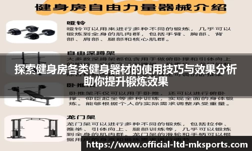 MK体育官方入口